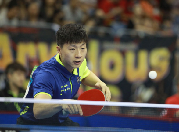 上海申花在 上海申花在