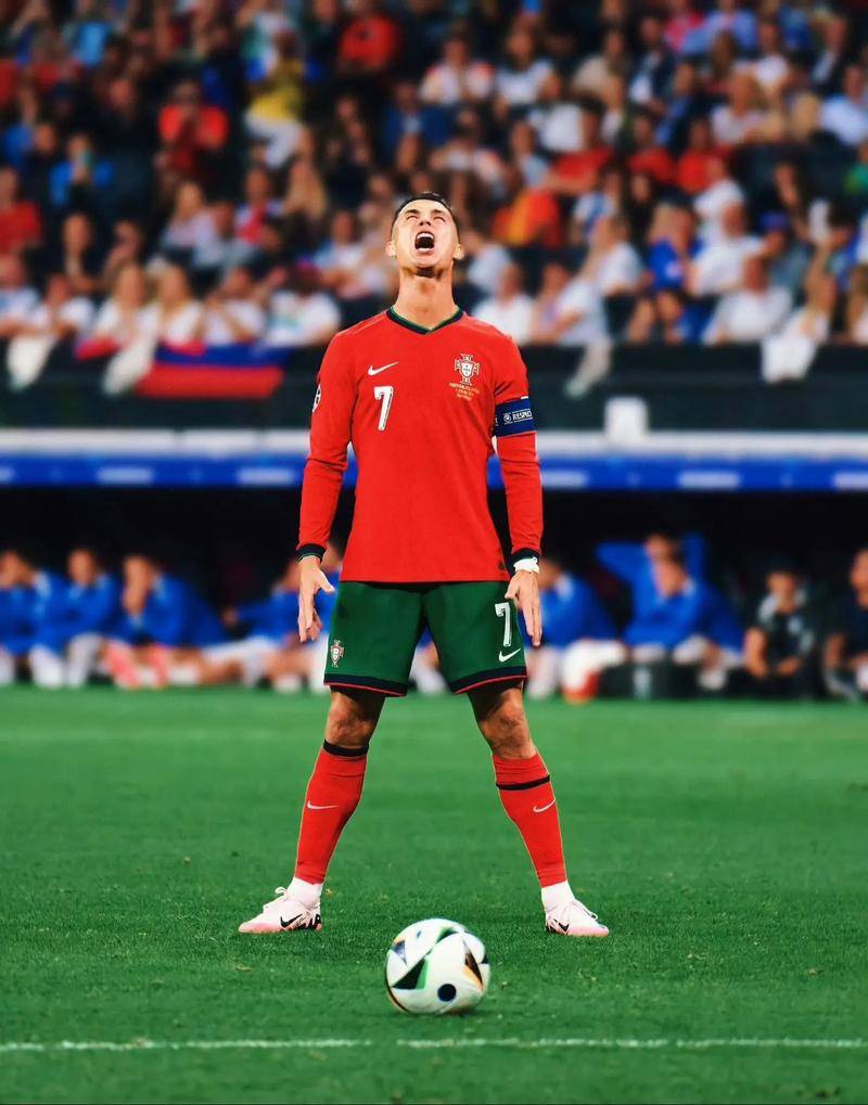 的经验与技 的经验与技