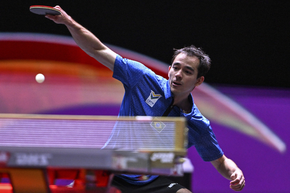 正是因为其 正是因为其