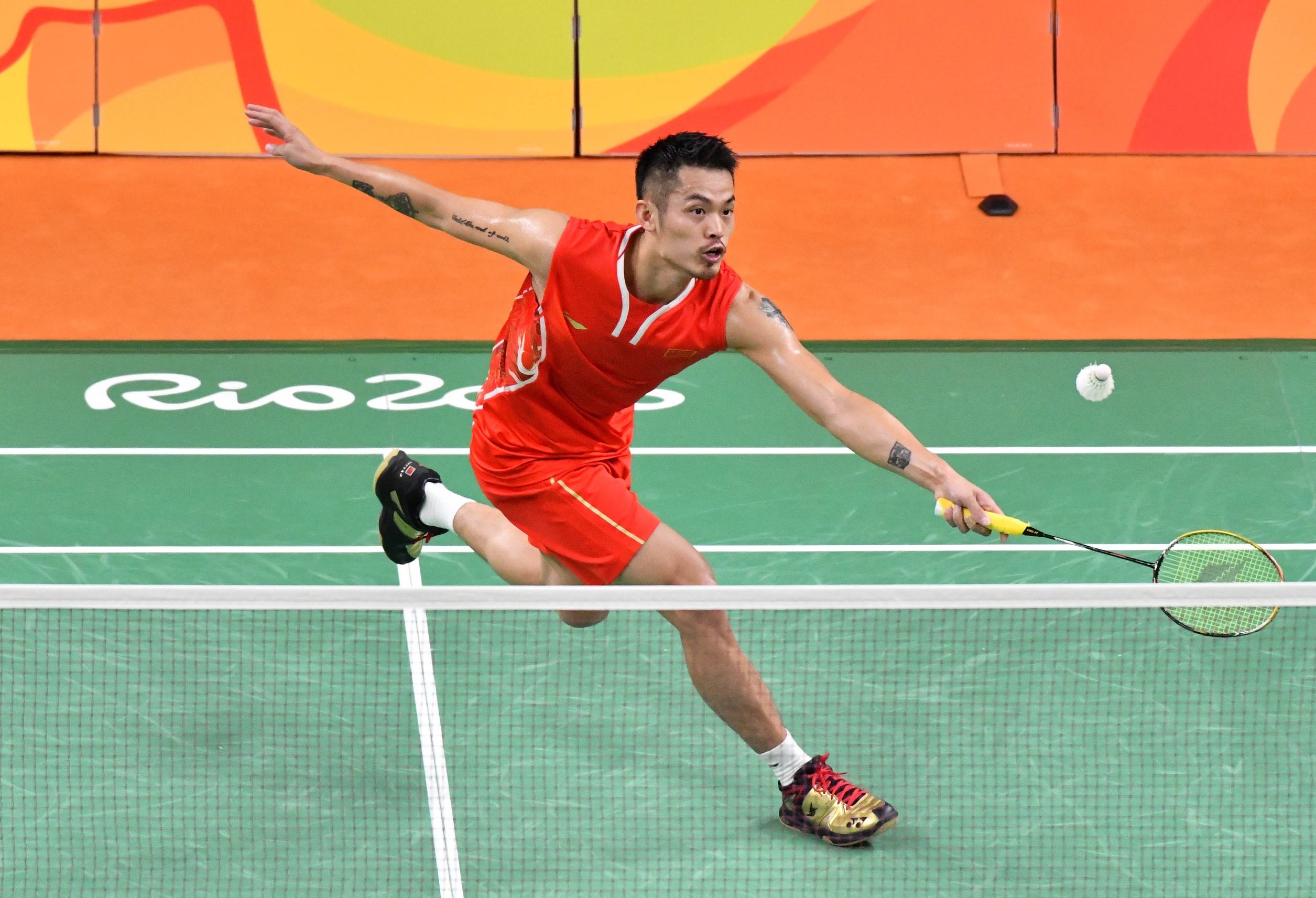 排球领域 排球领域